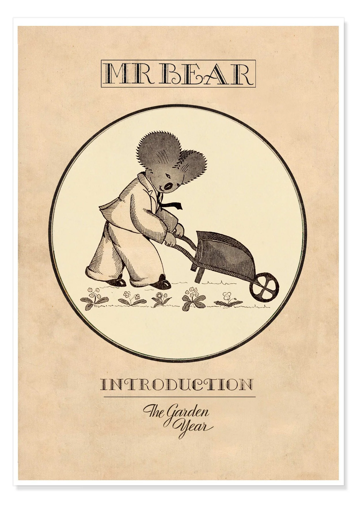 MR BEAR INTRODUCTION A