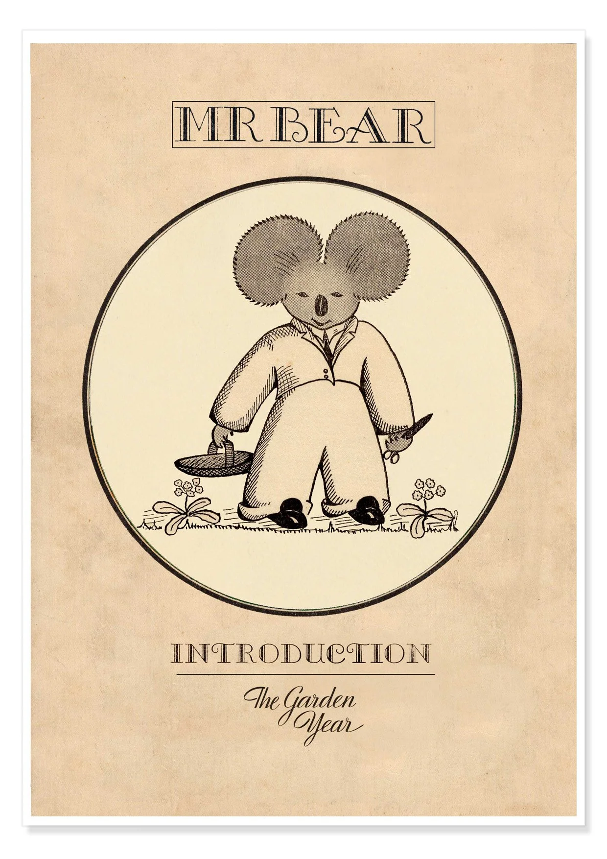 MR BEAR INTRODUCTION B