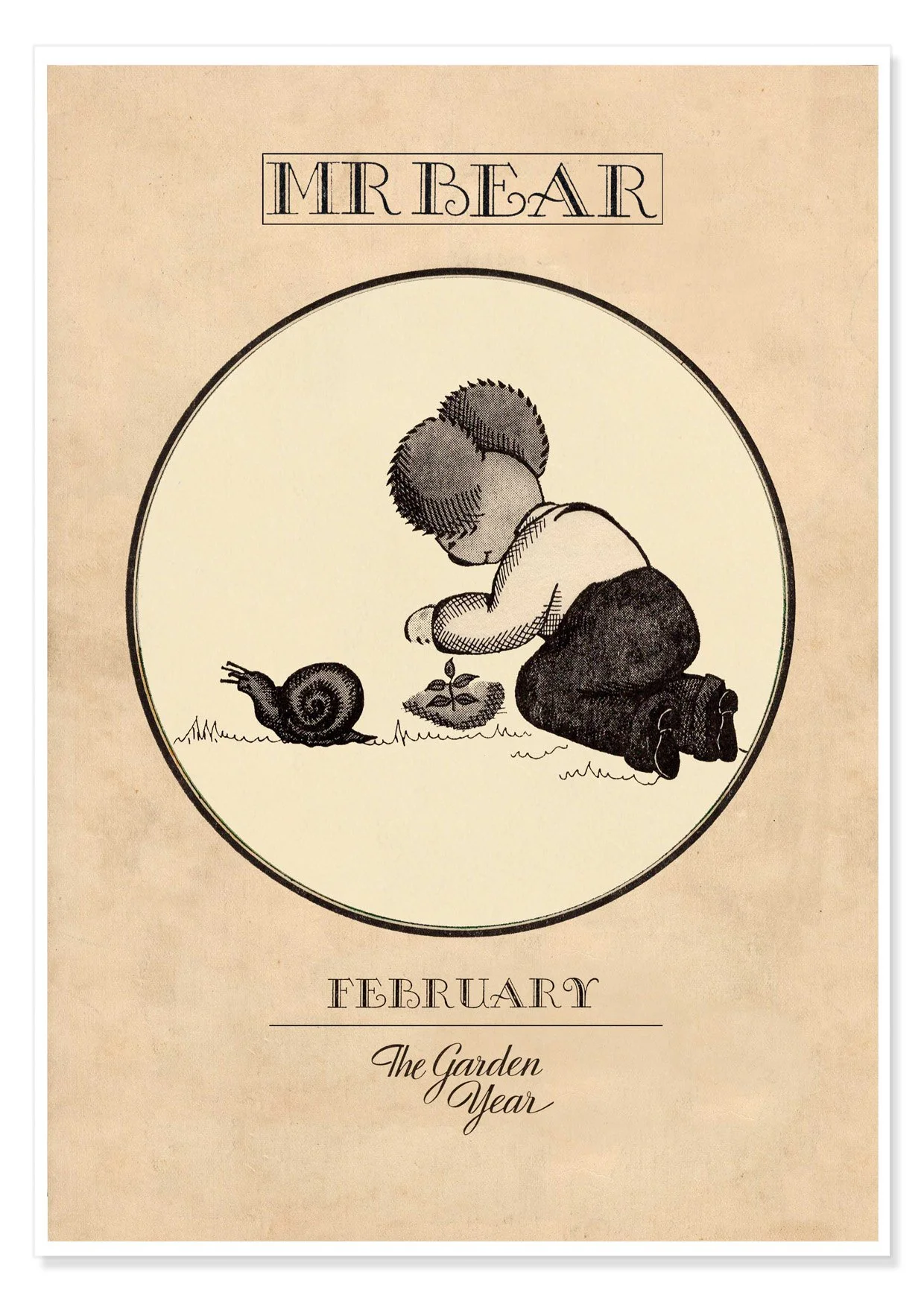 MR BEAR FEBRUARY B