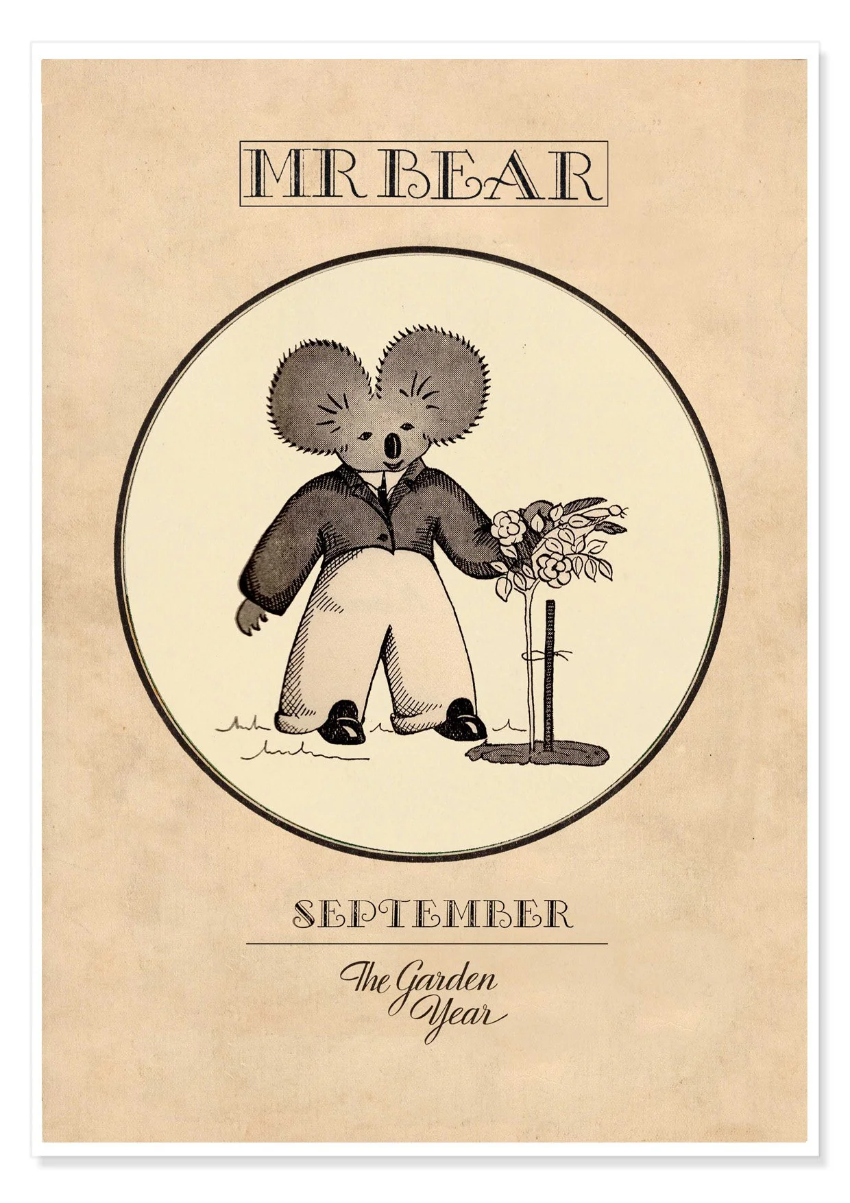 MR BEAR SEPTEMBER A