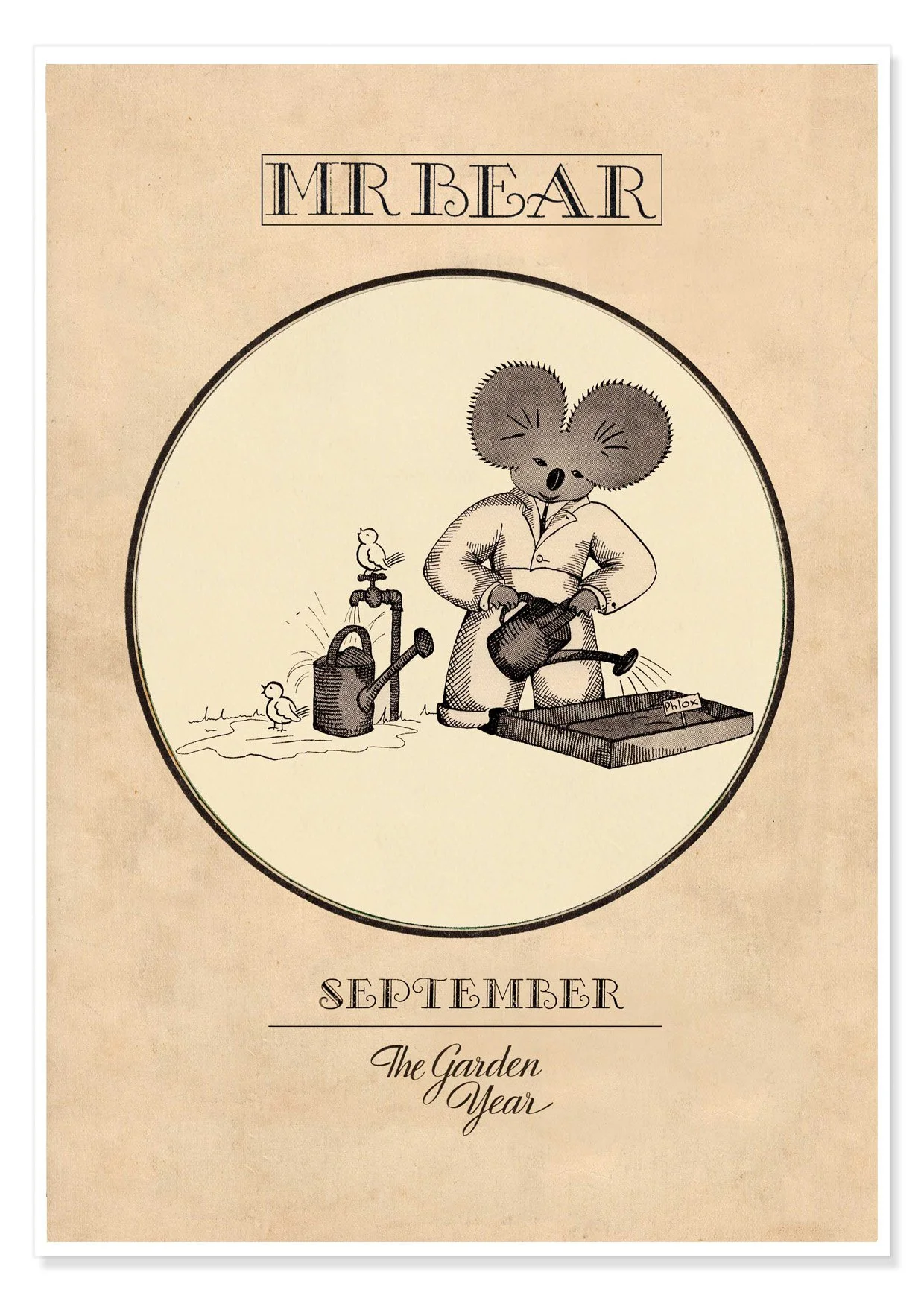 MR BEAR SEPTEMBER B