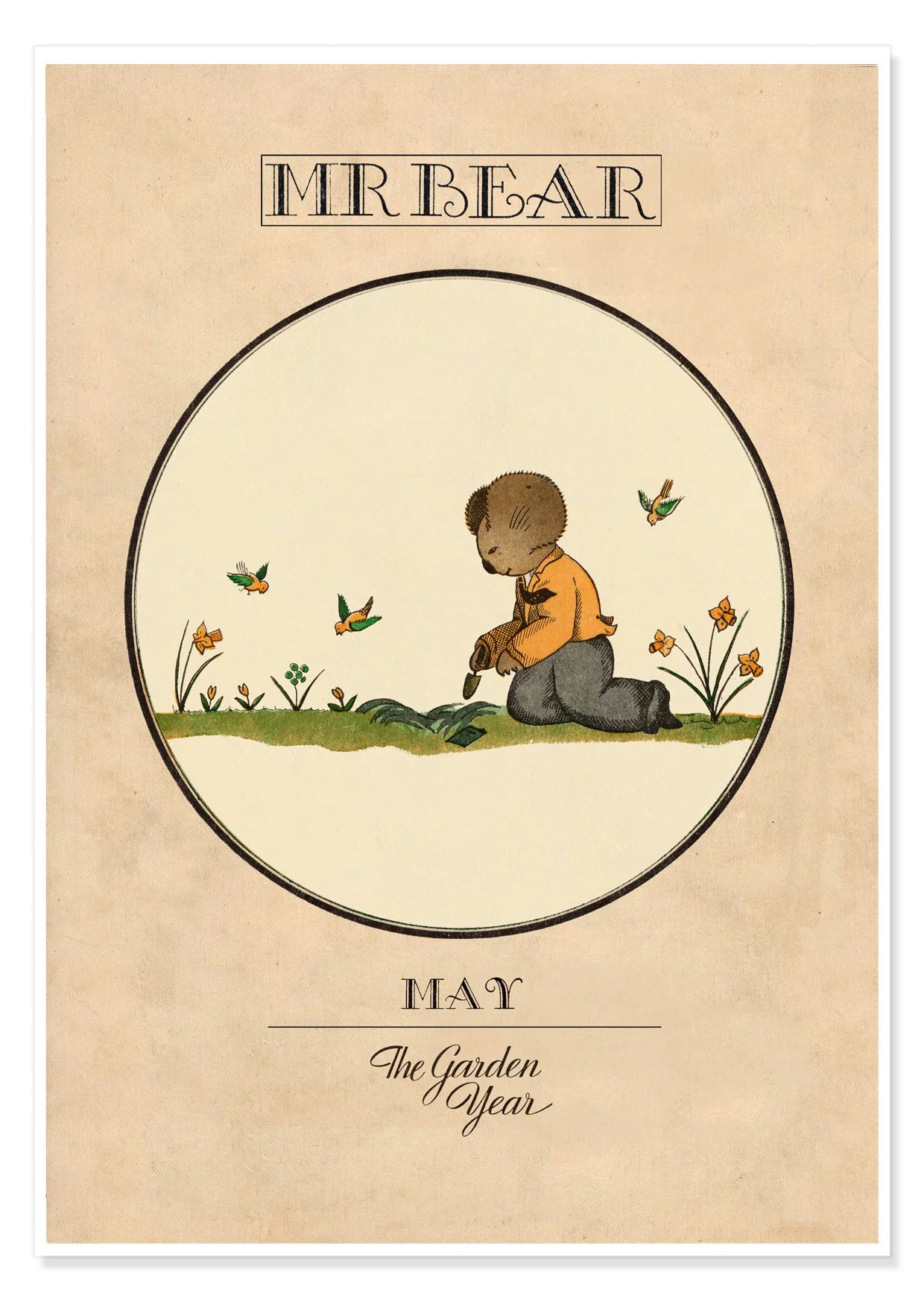 MR BEAR MAY B