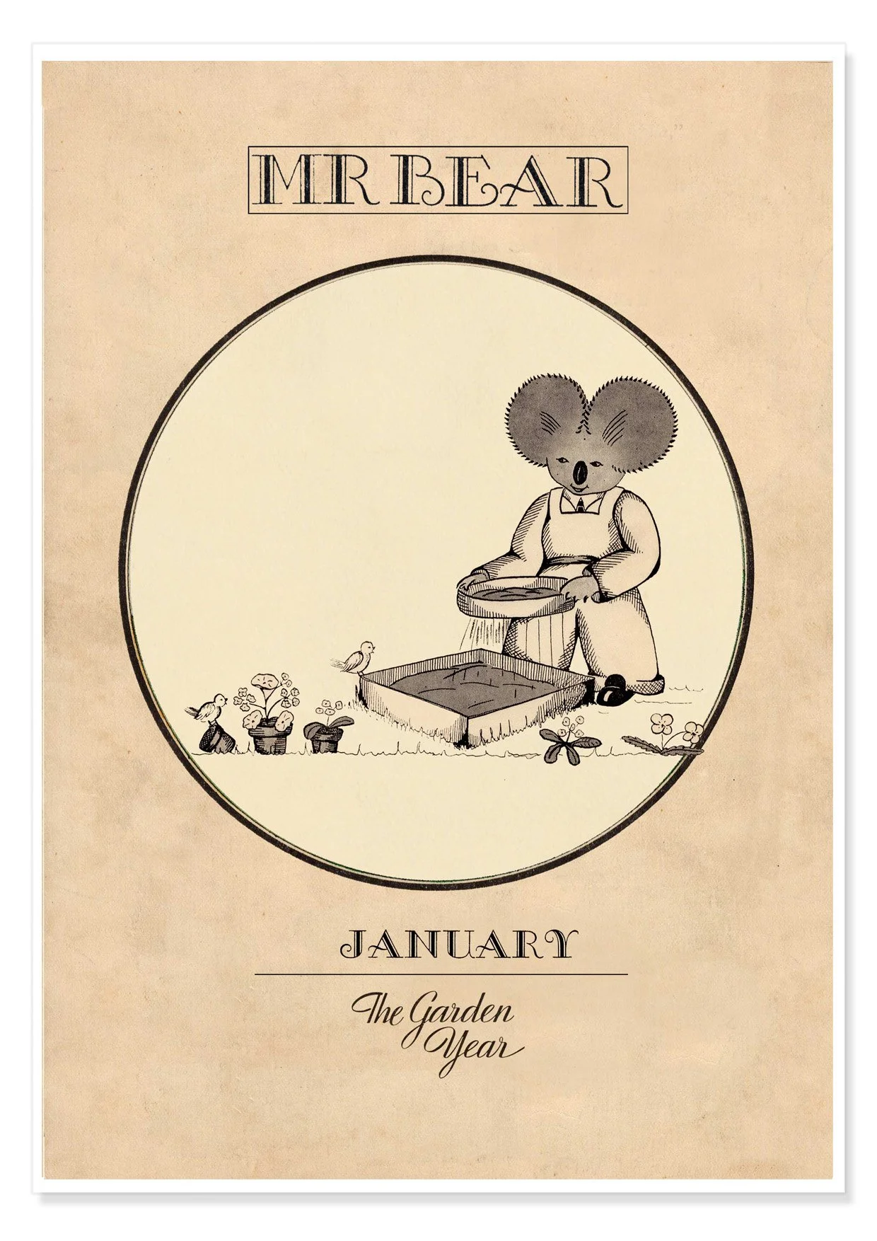 MR BEAR JANUARY A