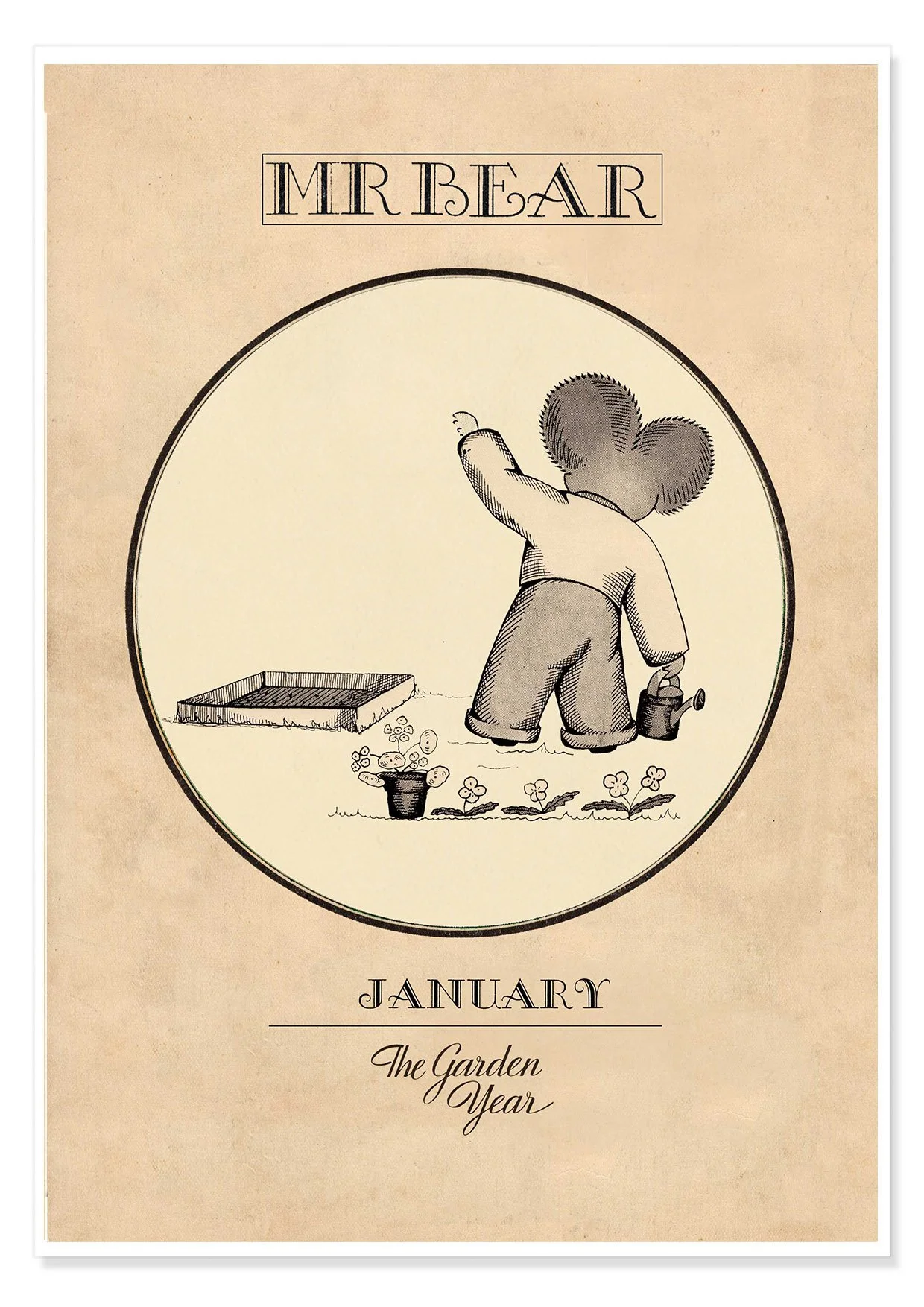 MR BEAR JANUARY B