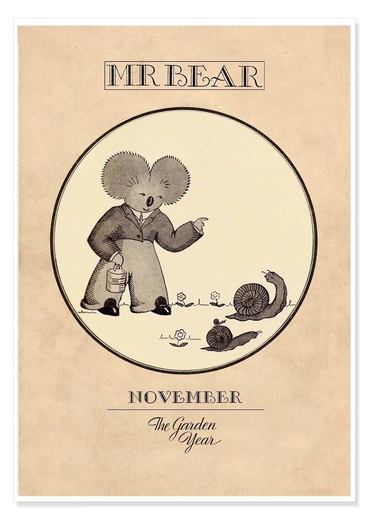MR BEAR NOVEMBER B
