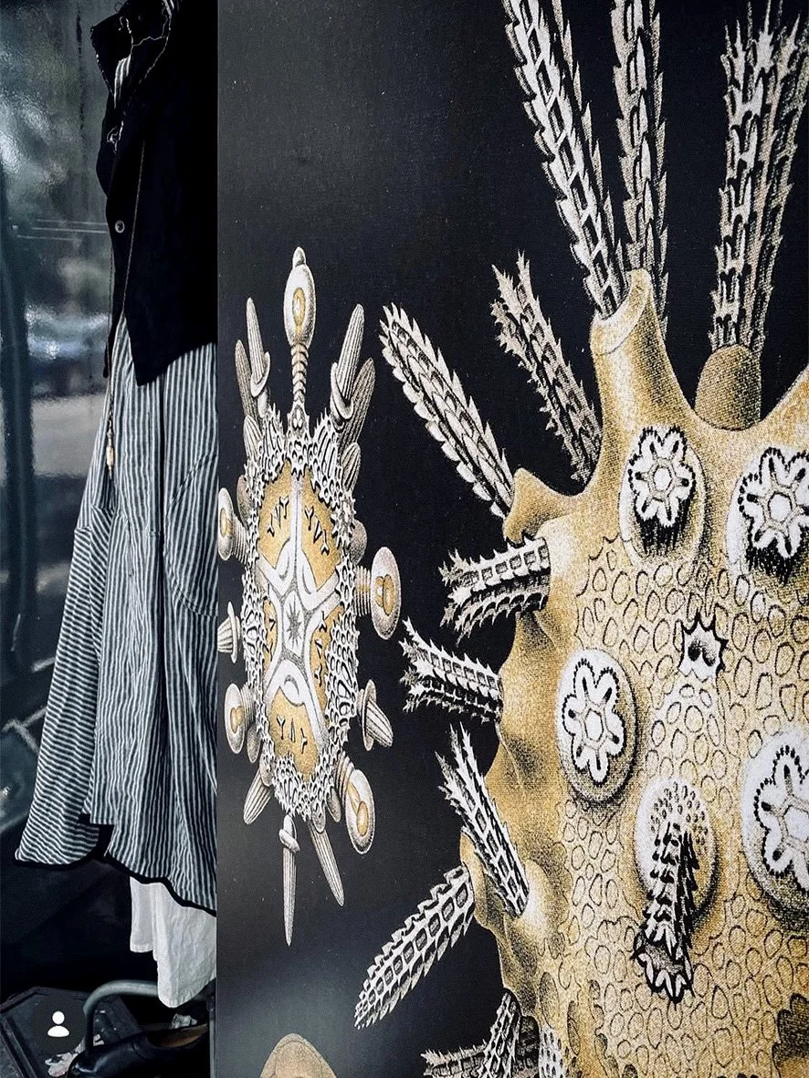 Archive_Haeckel installation_ESS_IMG_0716 copy.jpg