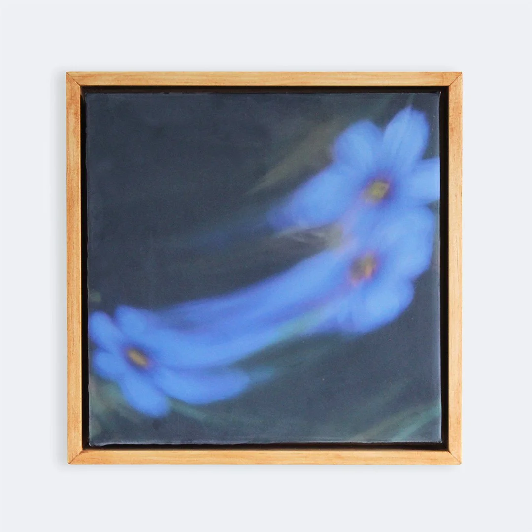 Morgan Taitoko_BlueyC1.jpg