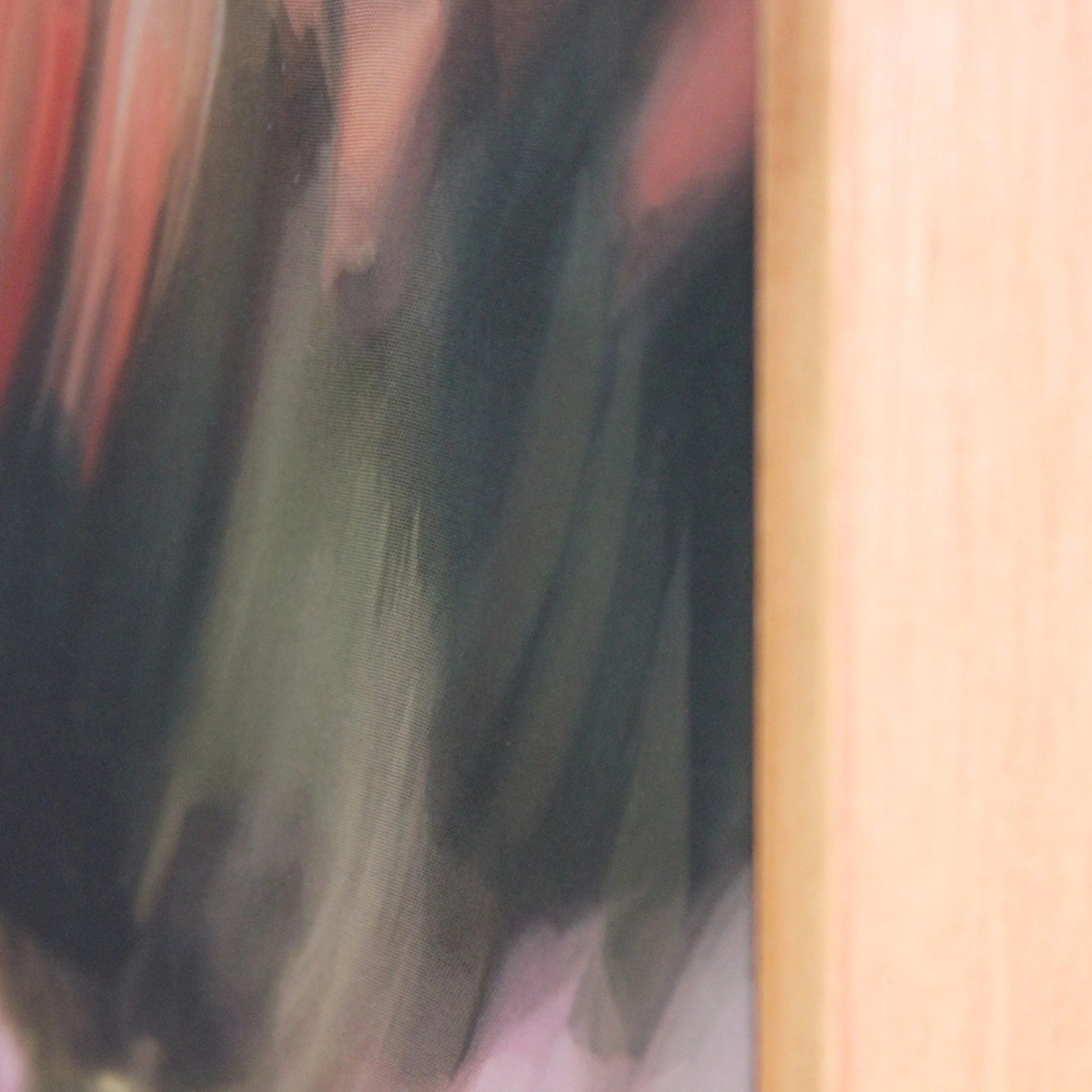 Dance in the Meadow5.jpg