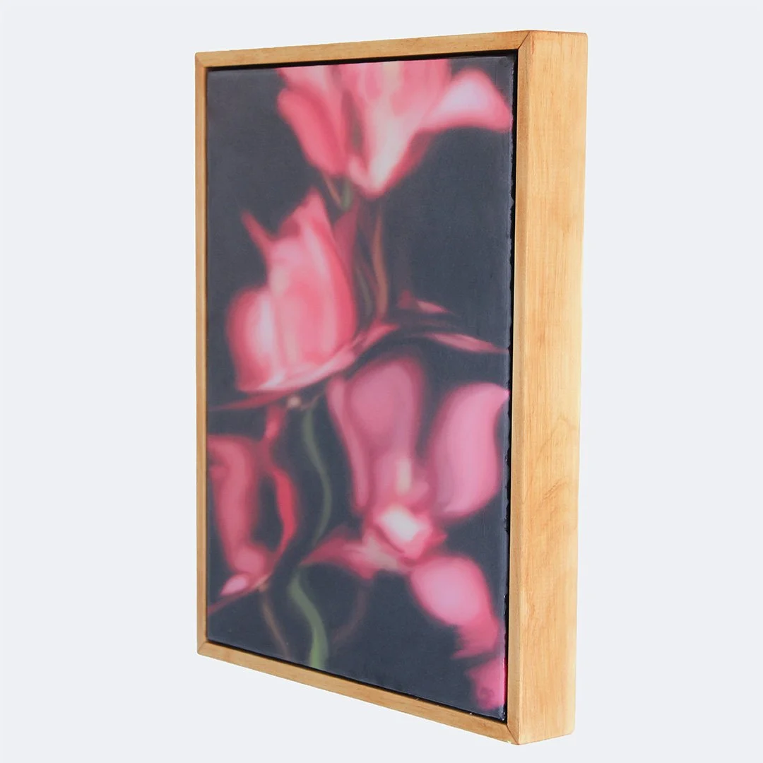Morgan Taitoko_Orchid2.jpg