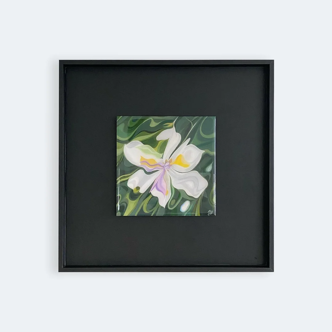 Square Website product Images _Butterfly Iris.jpg