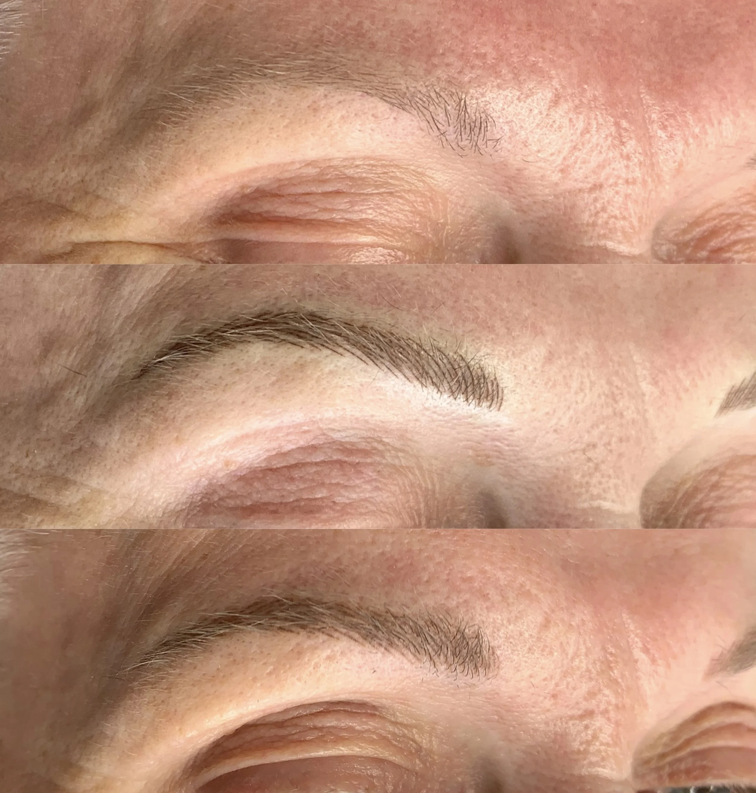 Hairstroke eyebrows.jpg