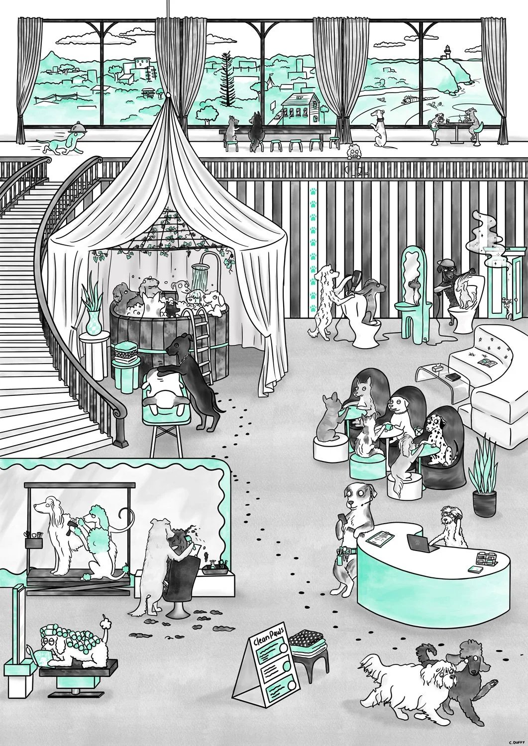Clean_Paws_Grooming_Salon-Clare-Duffy-Illustrator-for-web.jpg