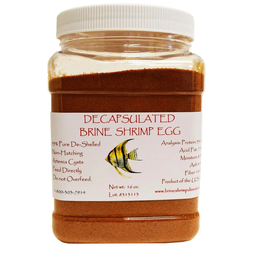 Decapsulated Brine Shrimp non-hatching.jpeg