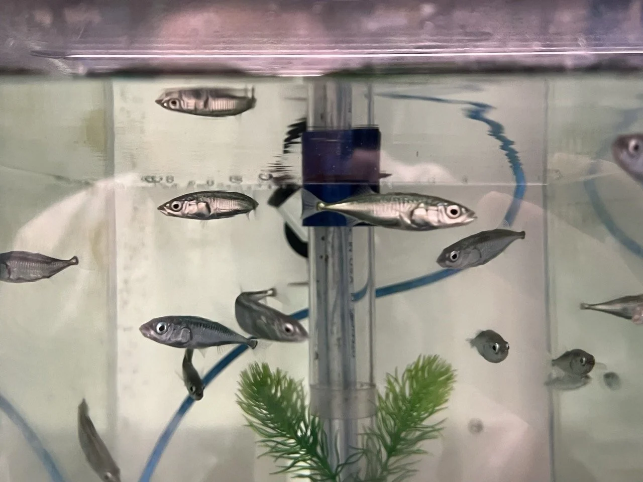 RS 2023 1 Large.jpeg