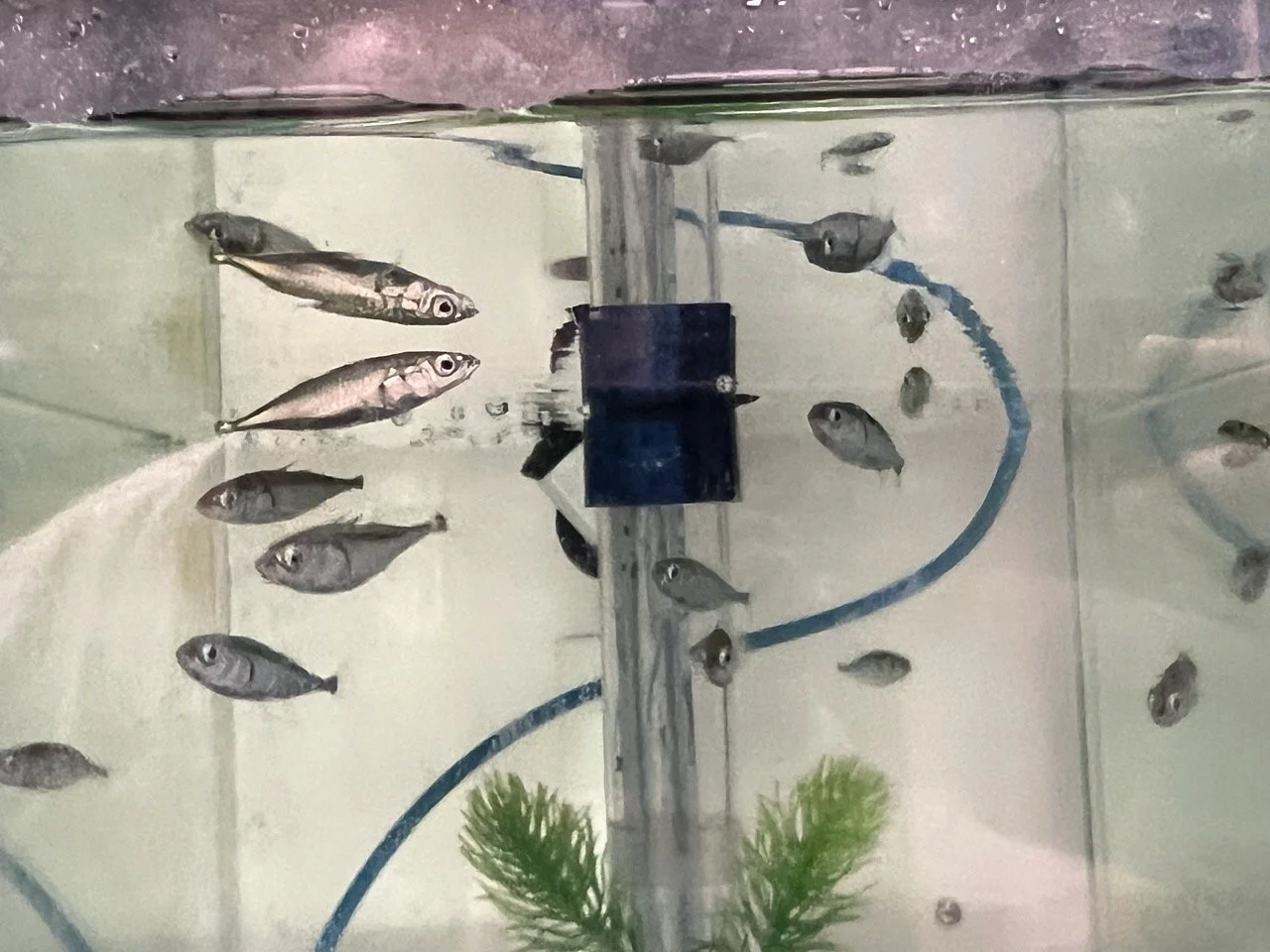 RS 2023 2 Large.jpeg