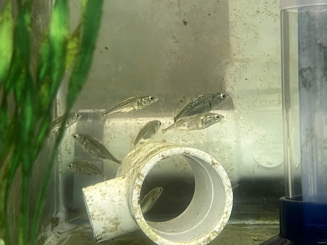 SS 23 2 228 Large.jpeg