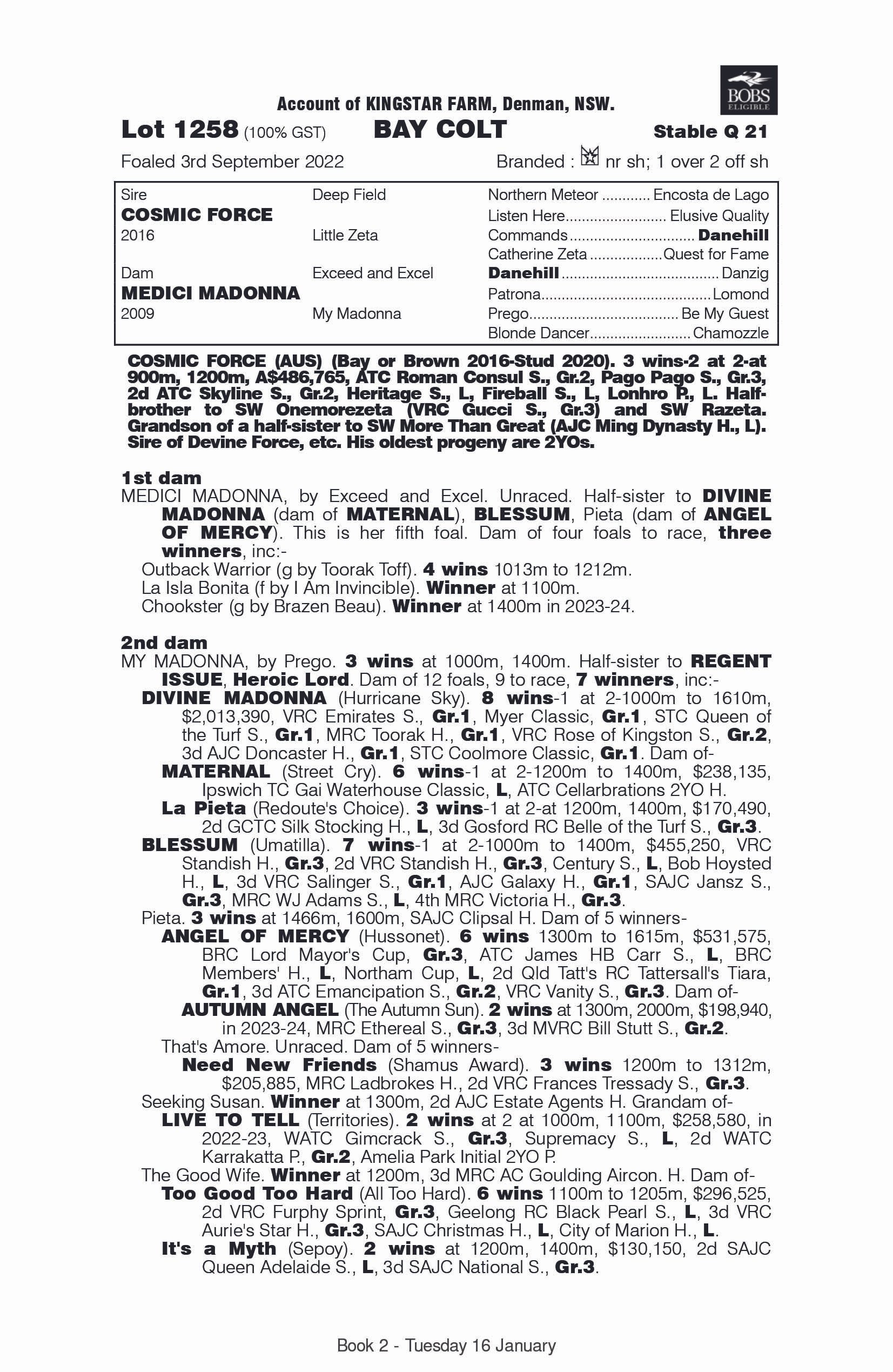 Pedigree - Lot 1258.jpg