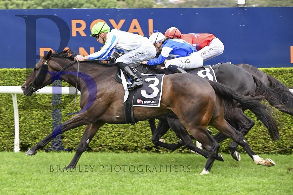 Can Crafty continue our dream month of May? 

Crafty Eagle 🦅 represents the team today @rosehill_gardens_racecourse in race 7. 

@johnthompsonracing has him primed and young gun apprentice @williamstanley_7 will be the pilot 🧑&zwj;✈️ 

We&rsquo;re 