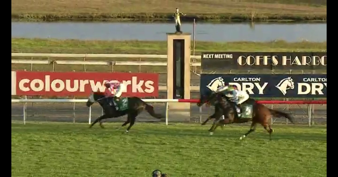 A really pleasing effort today from Exorealm, where he flashed home to pick up the bronze medal 🥉 

He was tardy away and second-last on the turn, but @jongrisedale didn&rsquo;t panic, kept him in the fence and grew wings the last 100. 

Well done t