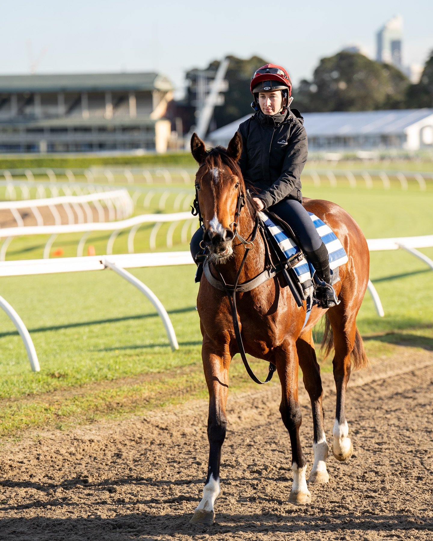 Only 6% remains! 

Hit the board 🎯, join in the fun and be a part of the winning team, Vardy Thoroughbreds 💙💚🤍

The proof is in the pudding 🥮, you don&rsquo;t have to spend big to get big results, it&rsquo;s called #vardyvalue

@johnthompsonraci