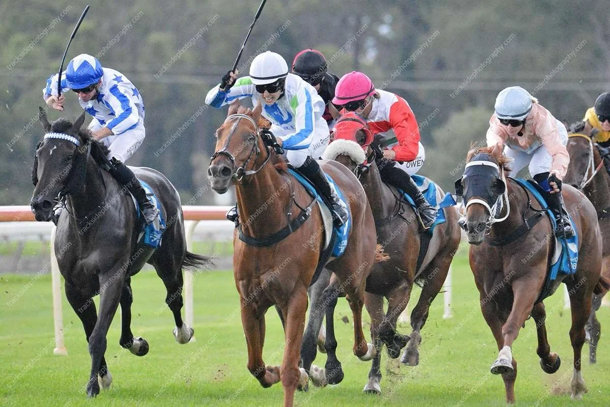 Taking The Mikki heads back to his favourite track today @manningvalleyraceclub Taree.

Whilst he might need the run, the big fella seems to grow an extra hoof when he&rsquo;s there and we&rsquo;re hoping that will be the case today. 🤞

Good luck to