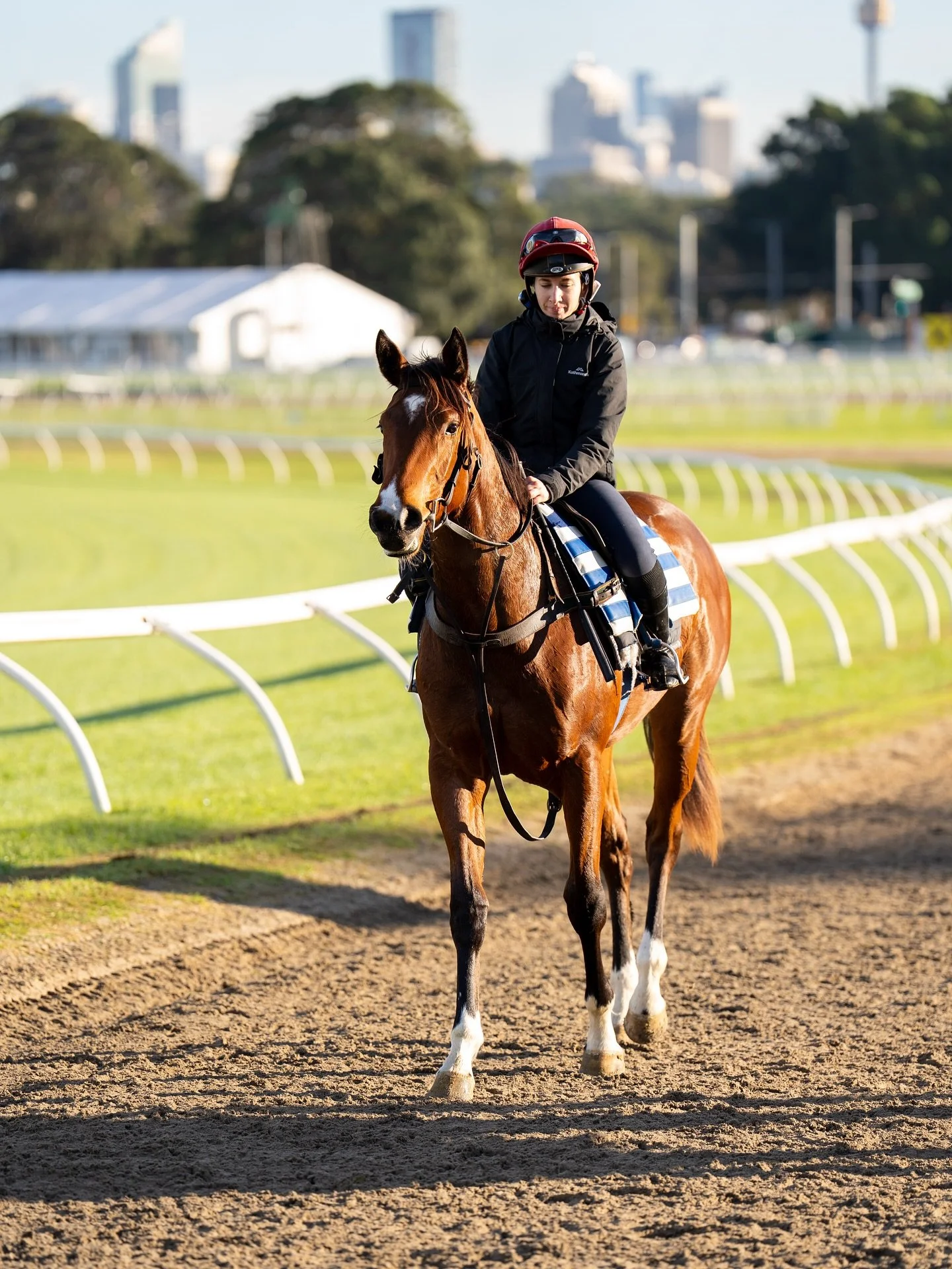 Racing&hellip;it&rsquo;s either diamonds 💎 or rocks 🪨 

Our beautiful filly, Legaselli, spiked a temperature this morning and won&rsquo;t run tomorrow in the Gimcrack Stakes. 

Whilst we&rsquo;re all disappointed to miss out on such an exciting opp