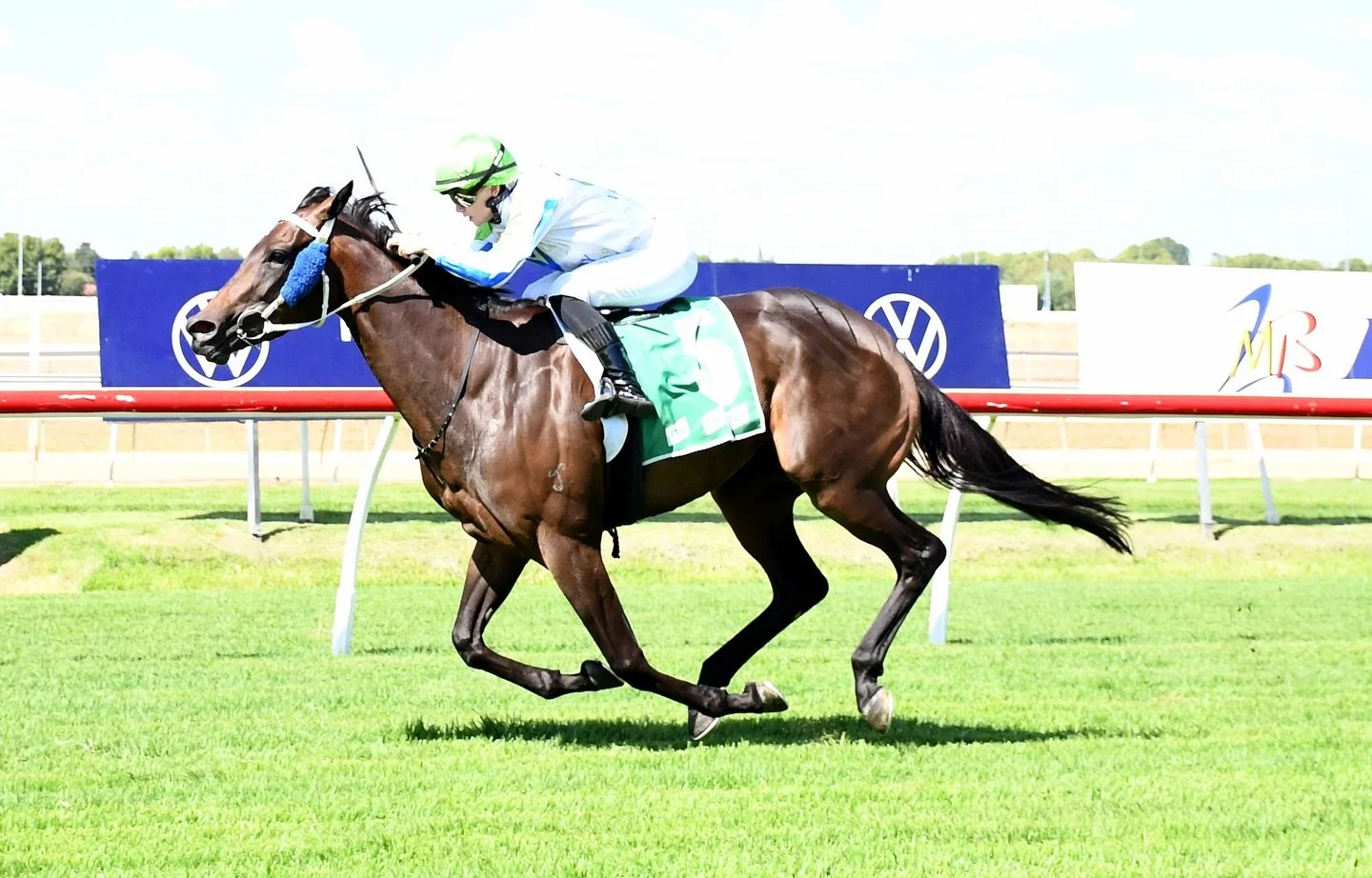 Helluva Soiree returns today over 1400 @thoroughbredpk Canberra in race 7.

@claireramsbothamm and @pepperracing2 were lethal together in her last prep where she won 4 races from 8 starts😲.

Whilst today will be short of her best, we&rsquo;re still 