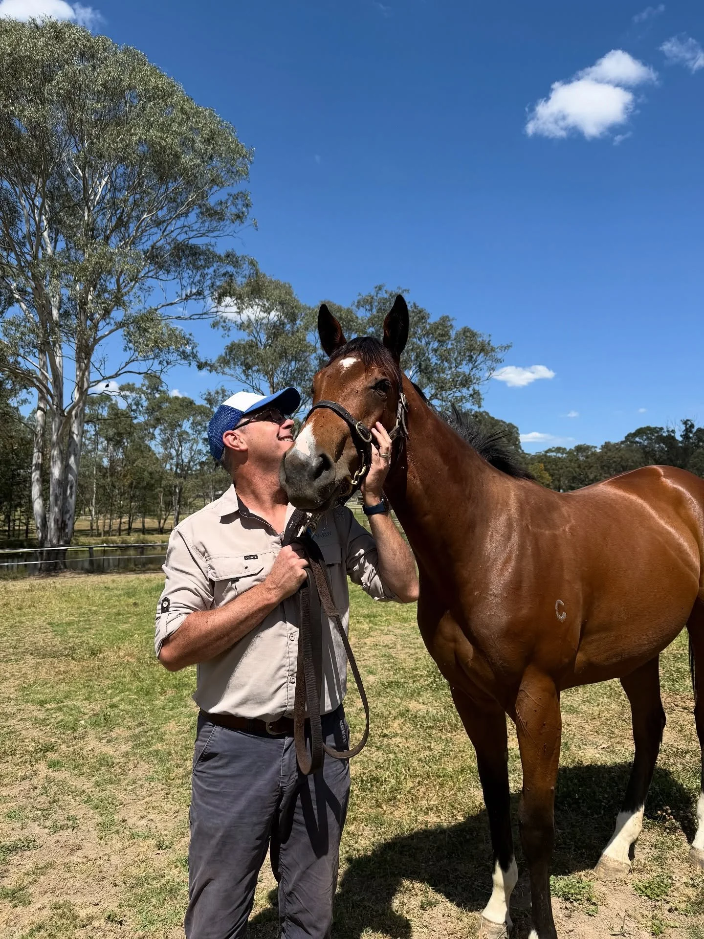 Oh Legaselli, you melt my heart 💙💚🤍

Our star filly has been spellling @hannover_lodge and what an amazing job they&rsquo;re doing 👏

She&rsquo;ll have another couple of weeks in the paddock before some pre-training, then back into @johnthompsonr