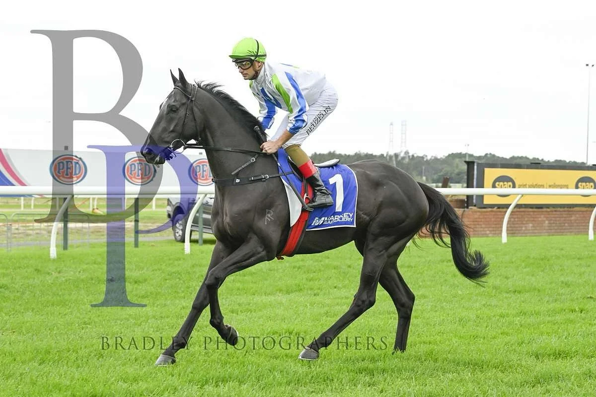Eyespy The Eagle heads to @hawkesburyraces today in race 7 for @johnthompsonracing and @bayliss777 

We&rsquo;ve drawn well, up in distance, so there won&rsquo;t be any excuses if he doesn&rsquo;t put in a good run. 

Let&rsquo;s hope &ldquo;junior&r
