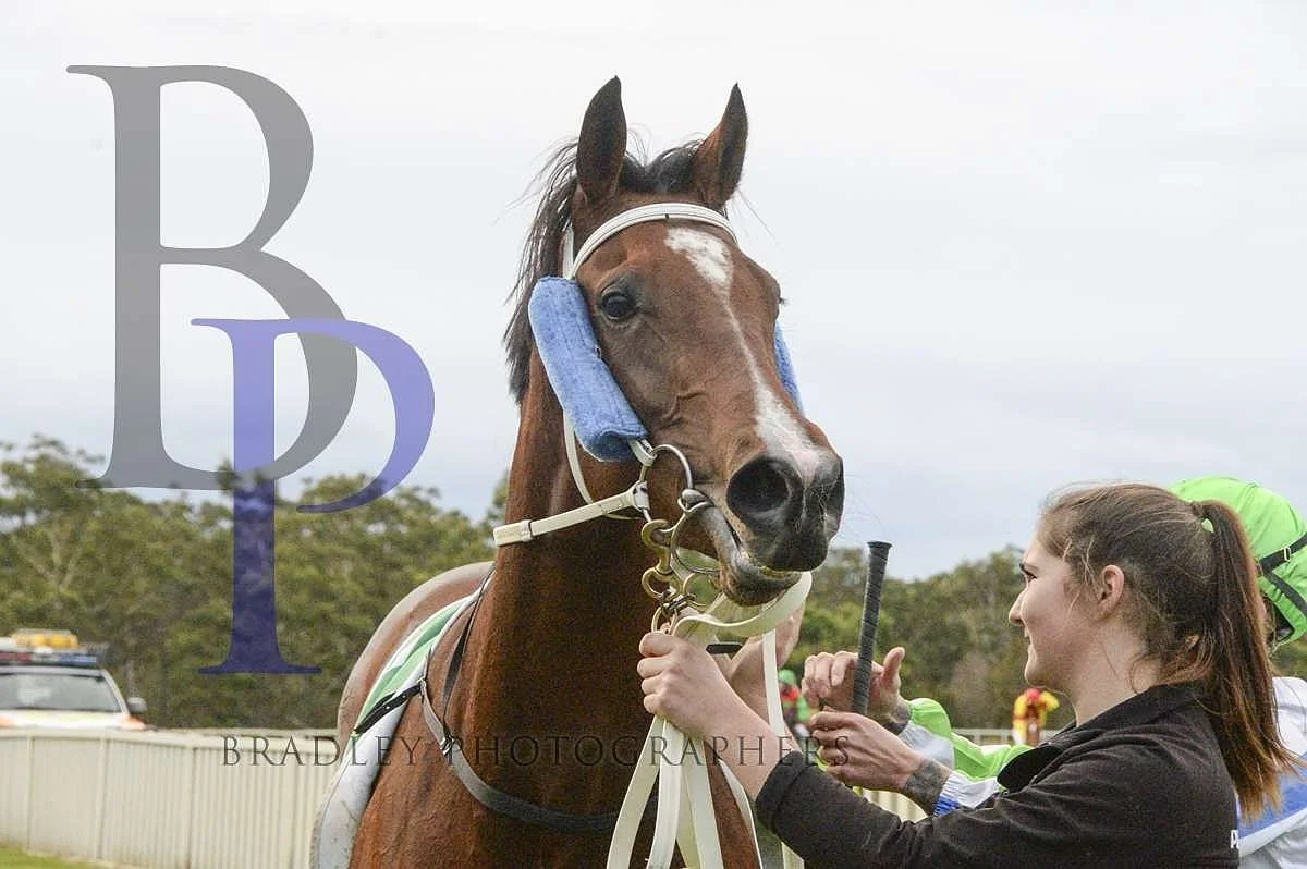 Hell Of A Fox returns to racing today @thoroughbredpk Canberra, race 4 at 4.19pm.

Foxy is up in grade, but, reunites with gun apprentice @jack.bakerr_ and will carry the low weight of just 53 kilos. 

We won&rsquo;t have much choice but to go back f