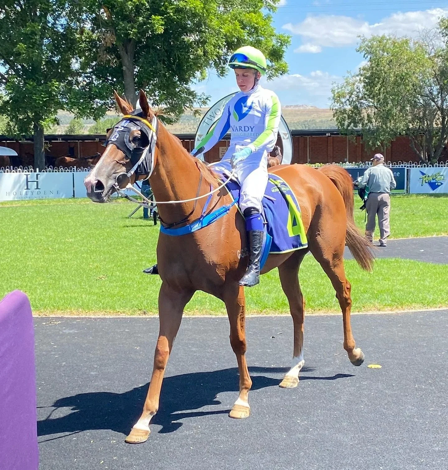 Tomorrow marks the return of one of our all time favourites, AGIRLSBESTFRIEND, aka Diamond 💎 

It&rsquo;s been over 12 months since her last start, but after lots of #tlc from @torryburnstud and @marcquinnracing , she&rsquo;s ready to go! 

Make sur
