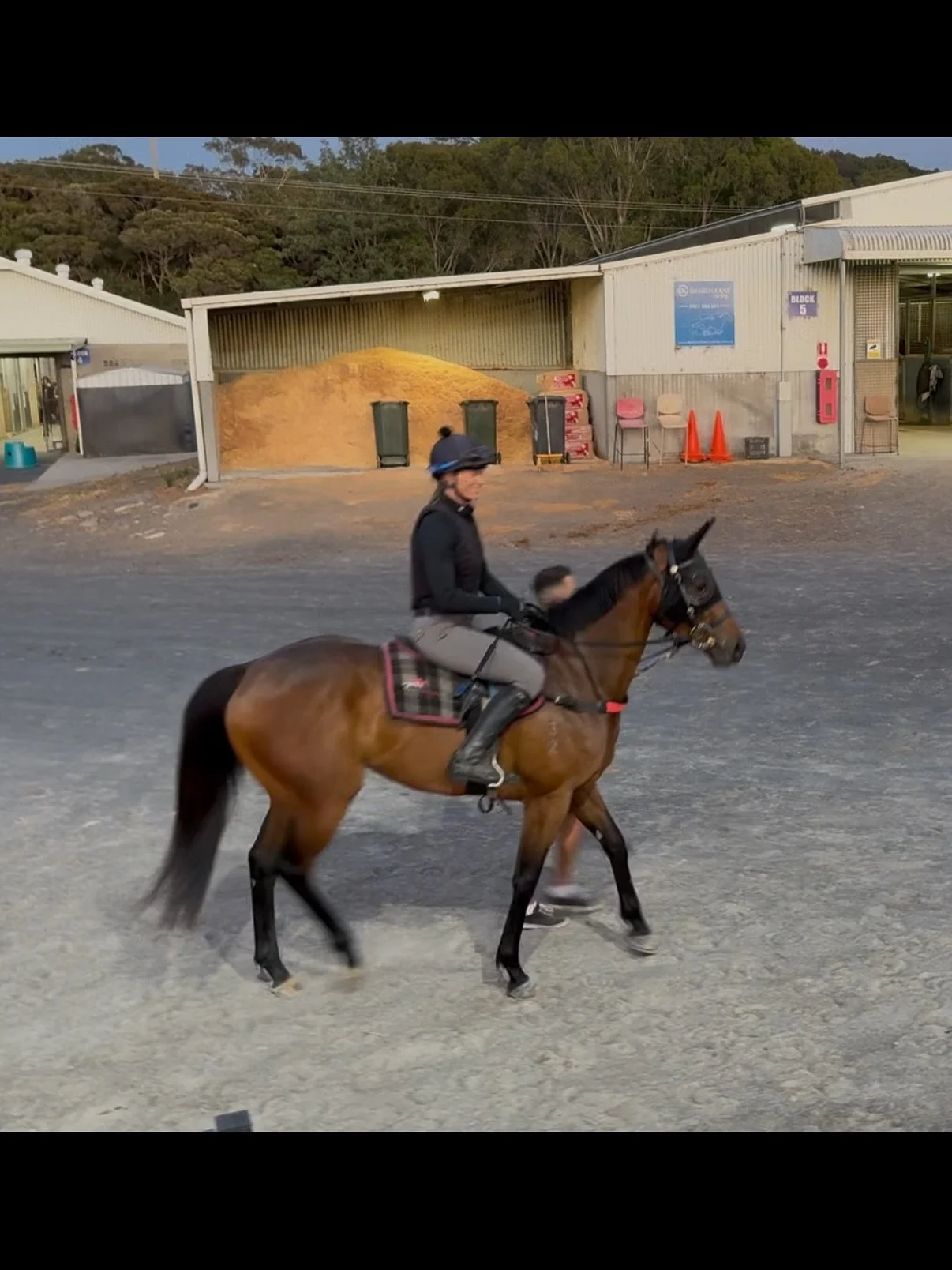 From Hawkesbury to Wyong, Port Macquarie, Nana Glen and finally at Ballina&hellip;that&rsquo;s a day! 

A very pleasing trial by Hellbent On You (3rd) now has her cherry ripe to go to the races! 
Ready Made Heir is back on track and working well, Agi