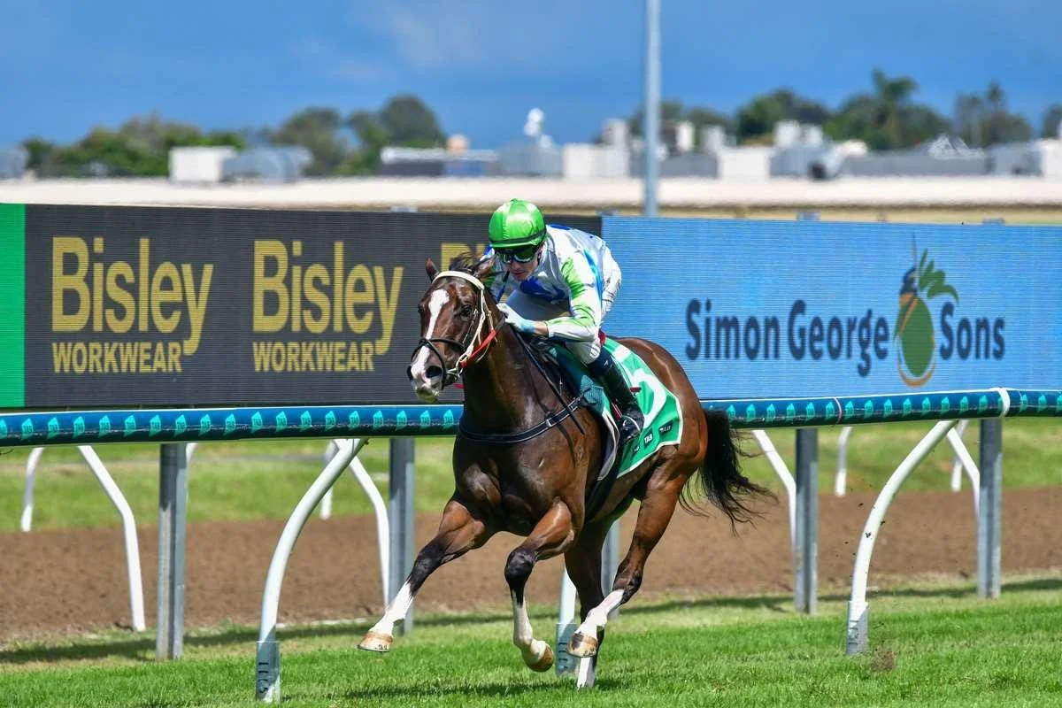 Get Ready Lass is another rep today for @vardythoroughbreds and @chrisandersonracing , running in race 9 at the Sunshine Coast @scturfclub 

GRL is in great order following her last trial win and @ben.thompson20 sticks with her💪

She goes super firs