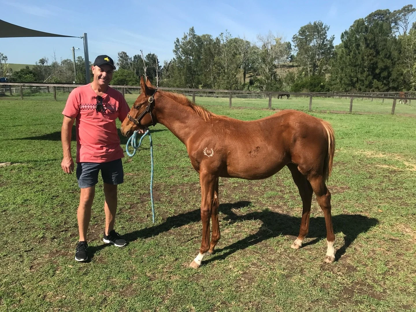 This isn&rsquo;t just a post about a bloke and his horse, it&rsquo;s about a fella that loves the horse and found a best mate along the way. 

Taking The Mikki started my journey as a syndicator and taught me a lot along the way. Racing is tough, it&