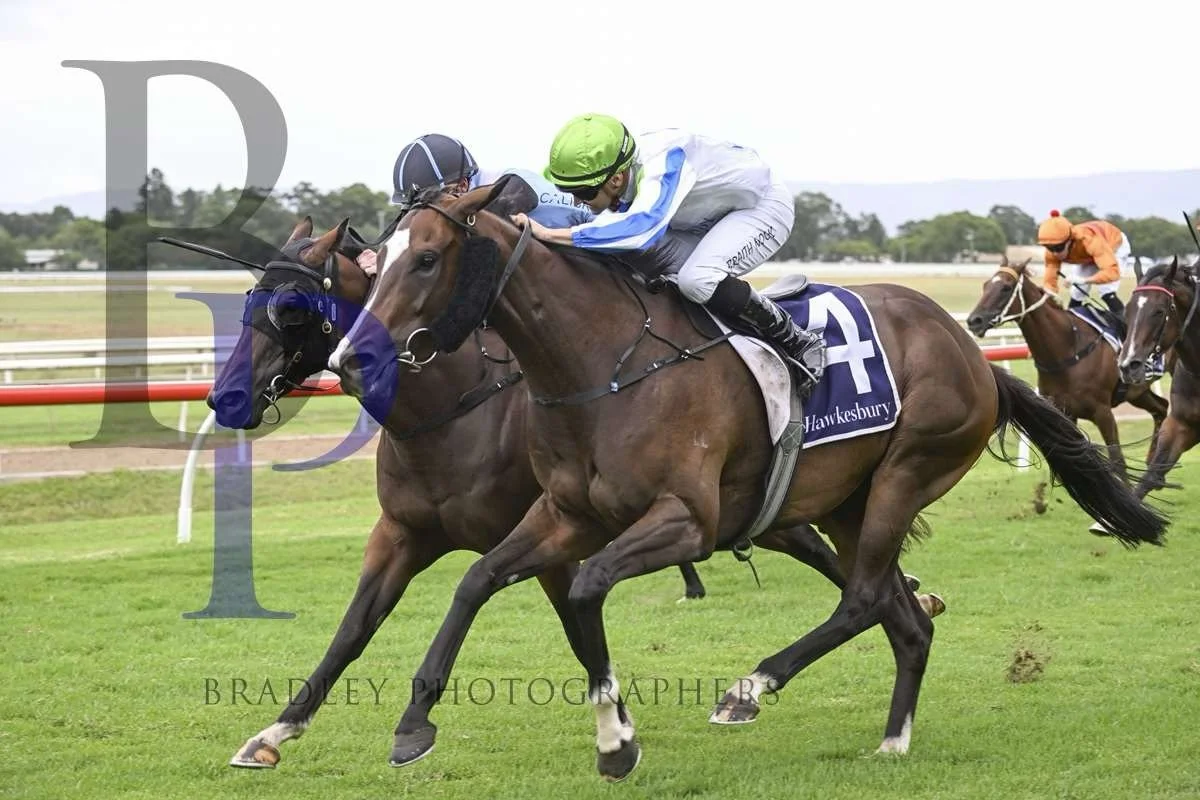 Hellbent On You heads to @warwick_farm_racecourse, representing @vardythoroughbreds , @johnthompsonracing and @nash_rawiller in race 6💪

Her trials and track work indicate a very good showing, and she should be hitting the line hard👊

Good luck to 