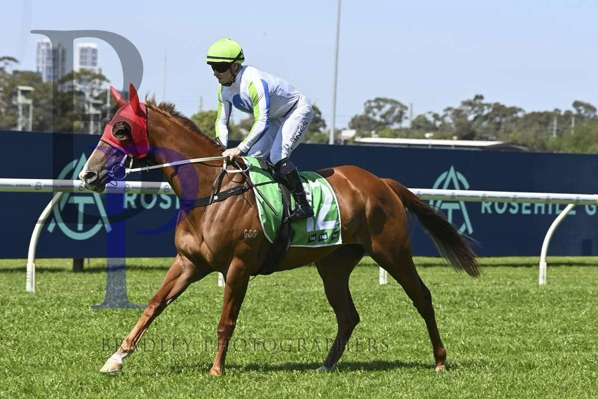 AGIRLSBESTFRIEND, aka Diamond 💎, represents Team Vardy and @marcquinnracing at the beautiful @tuncurryforster_jockeyclub Tuncurry. 

1600 is a bit of an unknown second-up, but, as always, Marc will have her looking a Peach 🍑, and with @a.bullock_2 