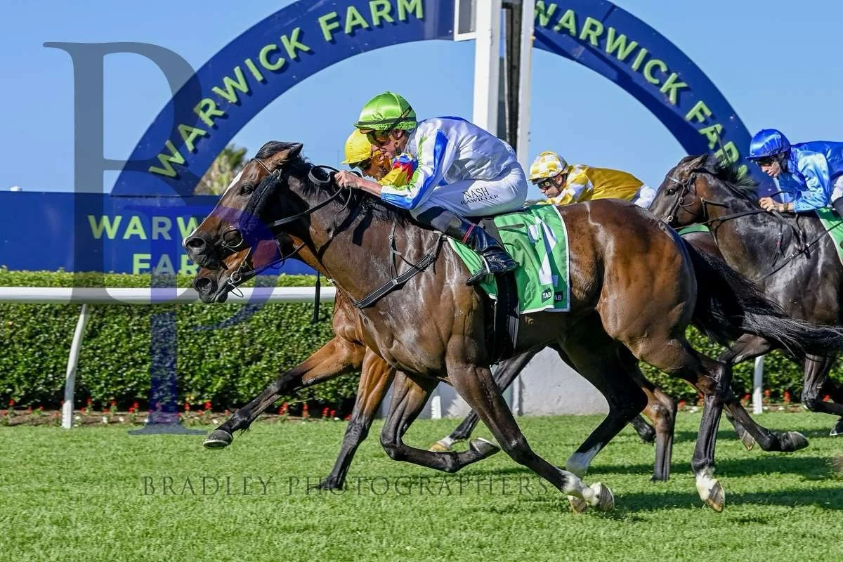 Hellbent On You goes around today in the lucky last @royal_randwick_racecourse 

@johnthompsonracing has the 5yo daughter of Hellbent flying this prep and @chadschofield94 is reunited with his favourite girl! 

There appears to be plenty of speed on 