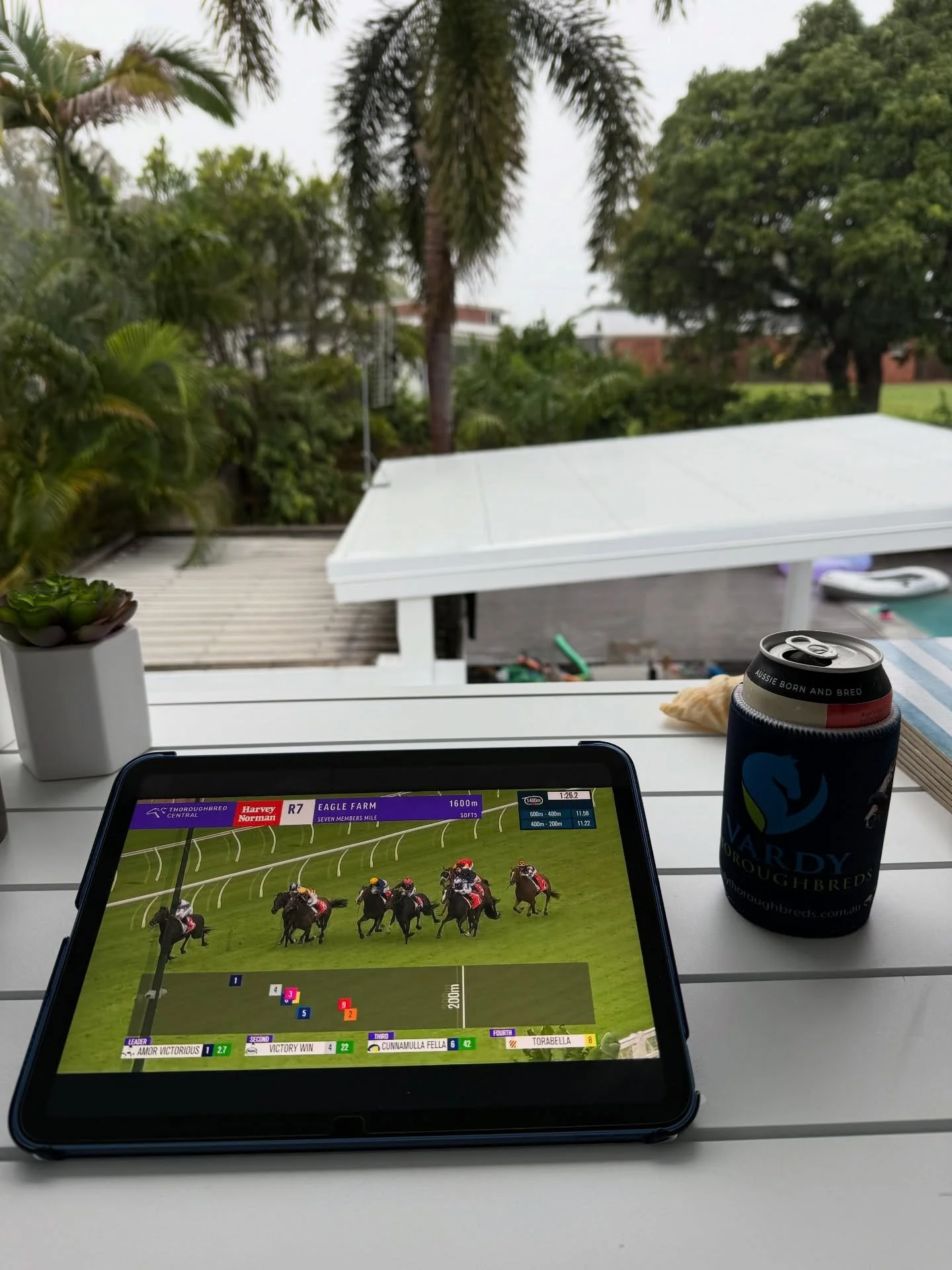 How&rsquo;s your Saturday arvo? 

Nothing like sitting on the deck, watching the races, cracking a beer and watching the rain! 
.
.
.
.
#vardythoroughbreds #saturday #races #beer #watchingtherain