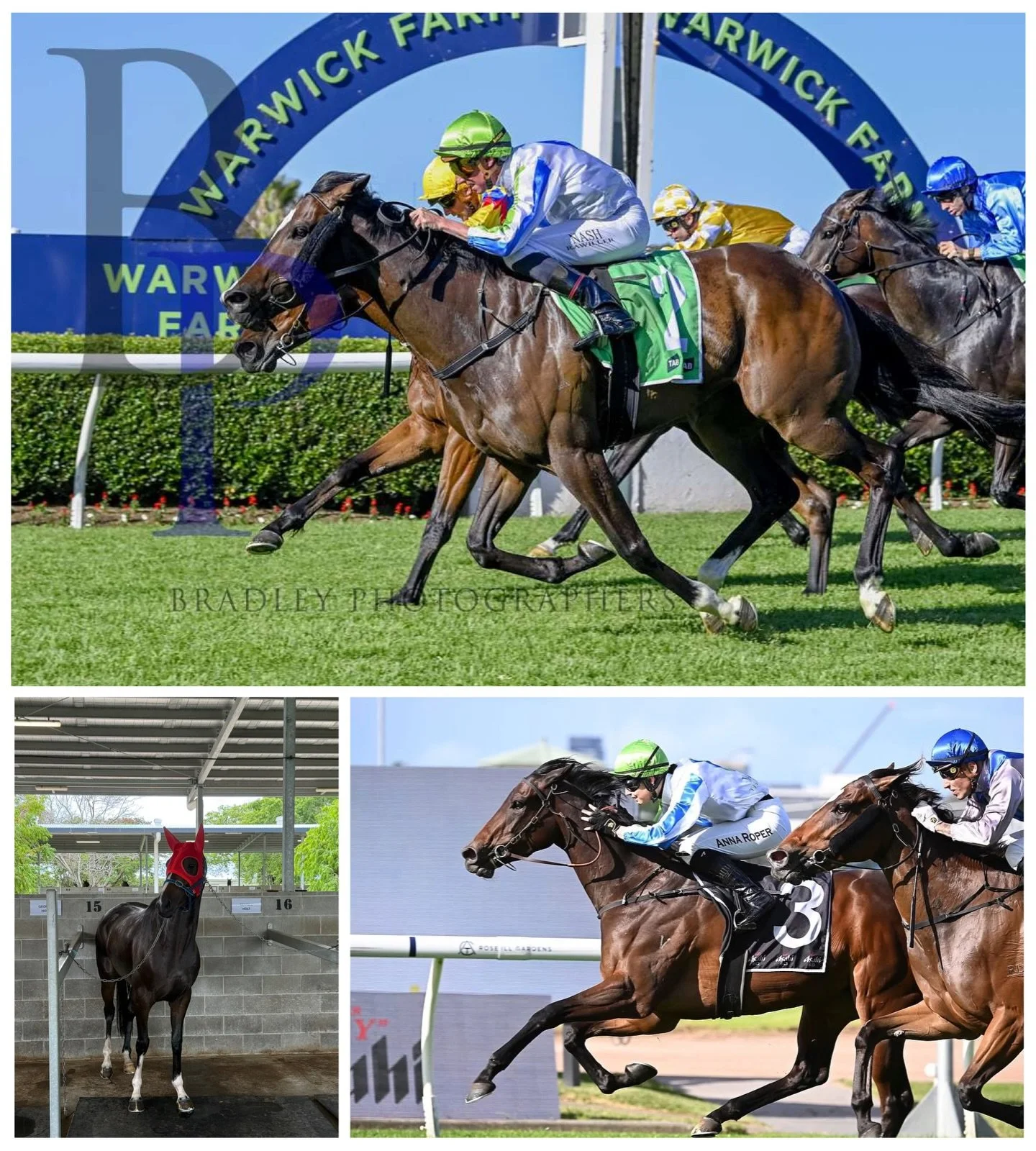 An exciting day today as we have 3 runners repping the team💙💚🤍

First of all, we have High Sobriety running in the first @cludenpark Townsville for @georgieholtracing. &ldquo;Hitting the line&rdquo; is what we&rsquo;d like to see from this filly💪