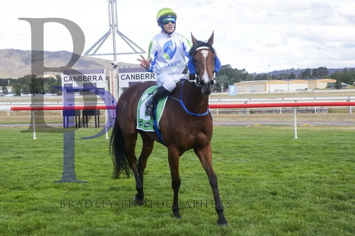 Hell Of A Fox 🦊 heads to @sapphireracing Sapphire Coast today for @pepperracing2 and Pierre Boudvillain. 

Foxy&rsquo;s back to 1200 after a freshen-up, but has a great record over the sprint distance and will be motoring home 🚀

Since joining Luke