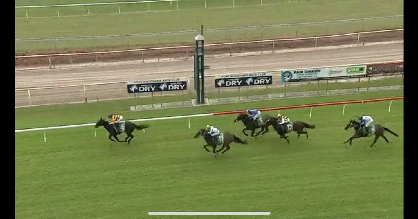 A really solid debut today from Ready Made Heir where she picked up the silver medal 🥈 

Nicely ridden by @jennykduggan and prepared by @kristenbuchananracing ,the 3YO daughter of Kings Legacy has shown us that we&rsquo;re going to have a bit of fun