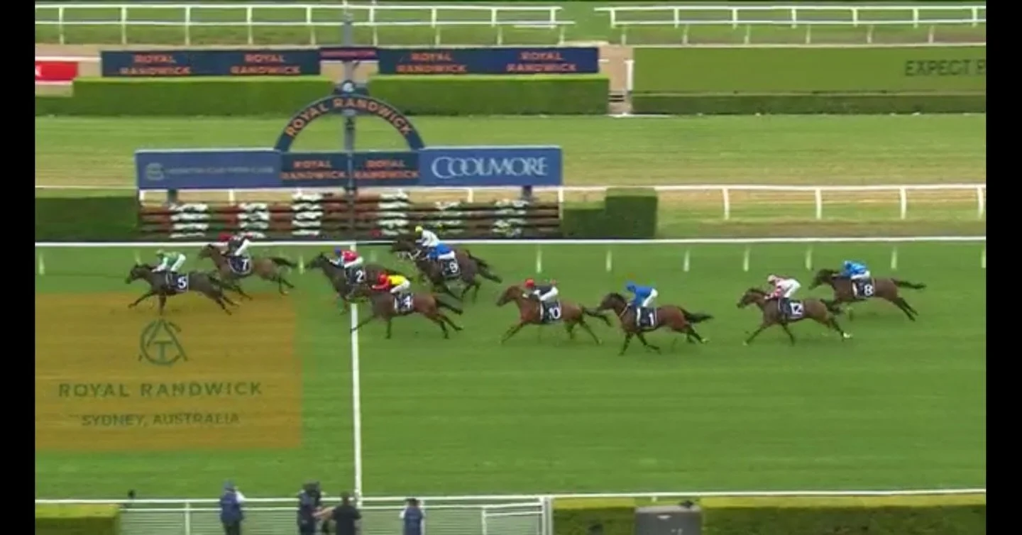 Cracking effort by Legaselli today to finish 5th on debut @royal_randwick_racecourse 

Nicely ridden by @alyshacollett and superbly presented by @johnthompsonracing , she handled herself superbly during the day and has pulled up well. 

She&rsquo;ll 