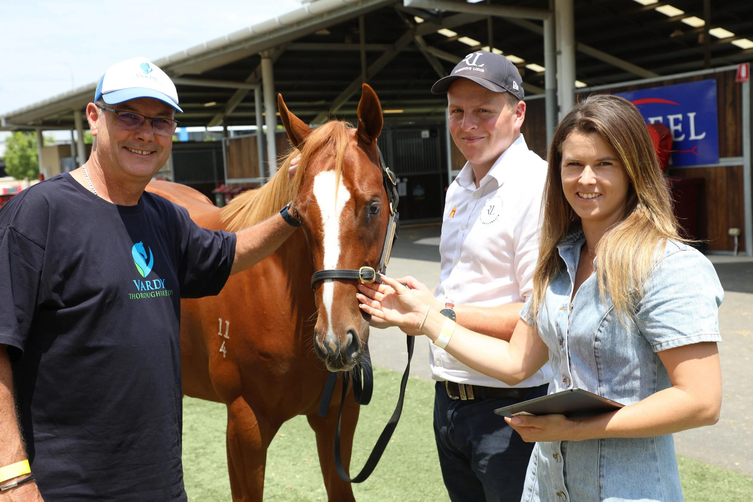 Inglis Classic Vardy 1.jpg