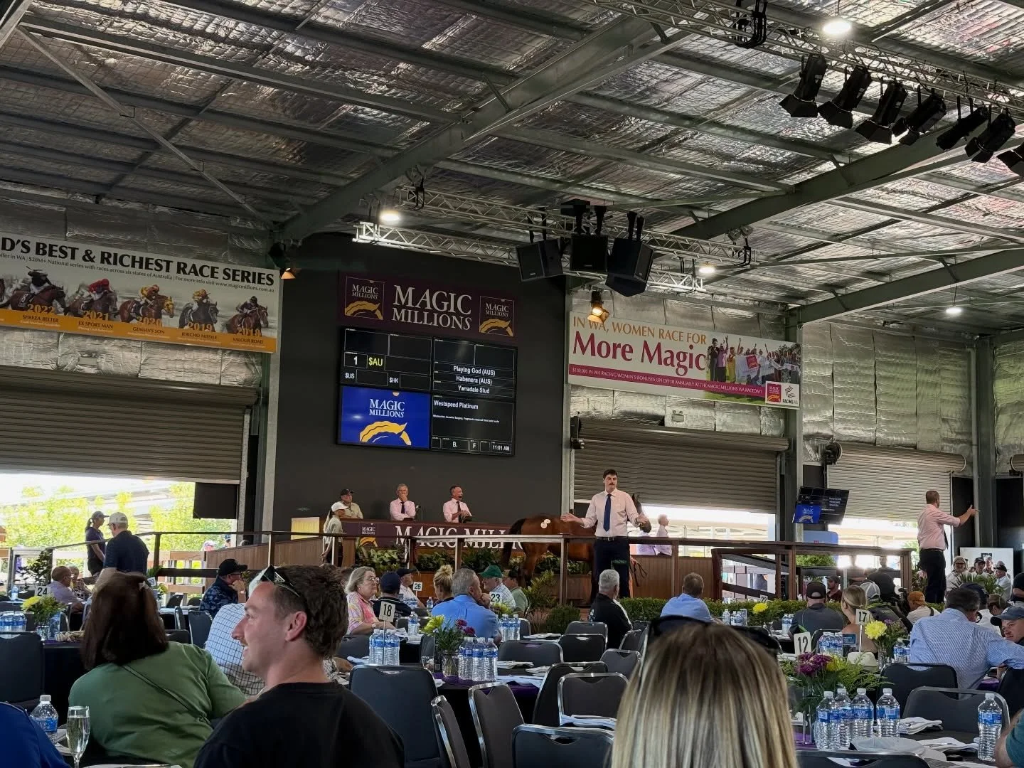 Game day💪 

Day 1, Perth @magicmillions 2026💙💚🤍
.
.
.
.
#vardythroughbreds #vardyvalue #vardyparty #perth