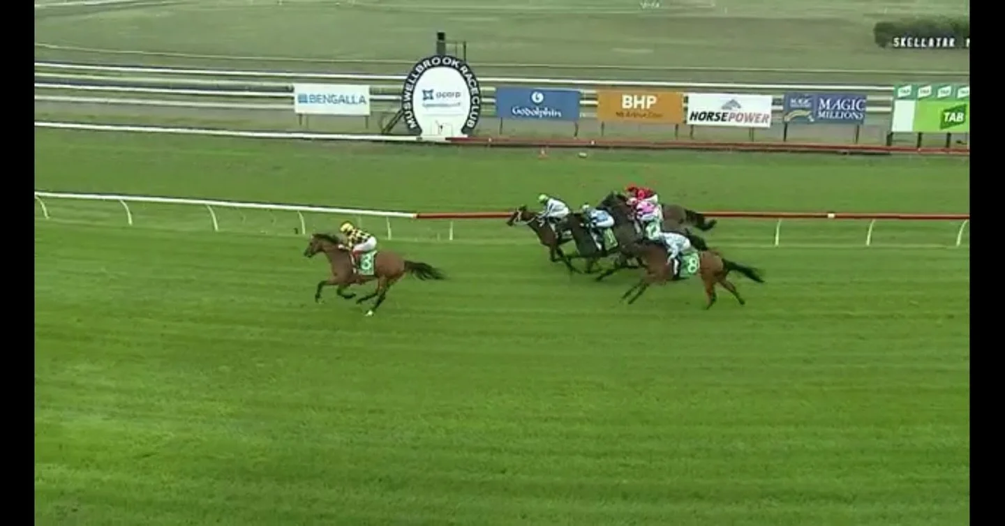 Another honest run from a filly that puts in 110%, every time! 

Ready Made Heir picked up another silver medal 🥈 today, her second this prep, showing us that she has her fair share of ability. 

@kristenbuchananracing is doing a super job with her,