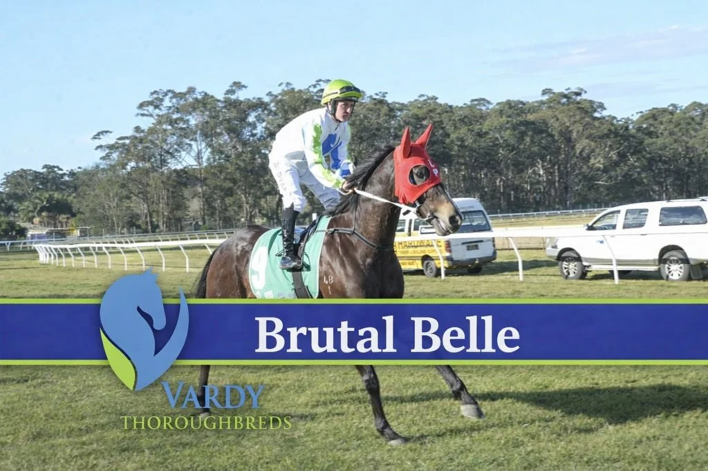 Racing today @goulburnraces we have Brutal Belle and Hell Of A Fox, both trained by @pepperracing2 

Race 1 sees Brutal Belle🔔 having her first start back this prep. Her work leading into this race has been outstanding and she should be super compet