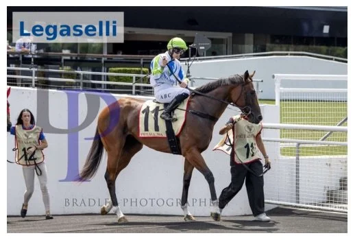 Racing today @rosehill_gardens_racecourse is Legaselli, in the Group 3 Baillieu Stakes for 2YO&rsquo;s.

She&rsquo;s now getting out to a distance which will suit her a lot better, 1400m&rsquo;s.

@alyshacollett sticks, and @johnthompsonracing has he