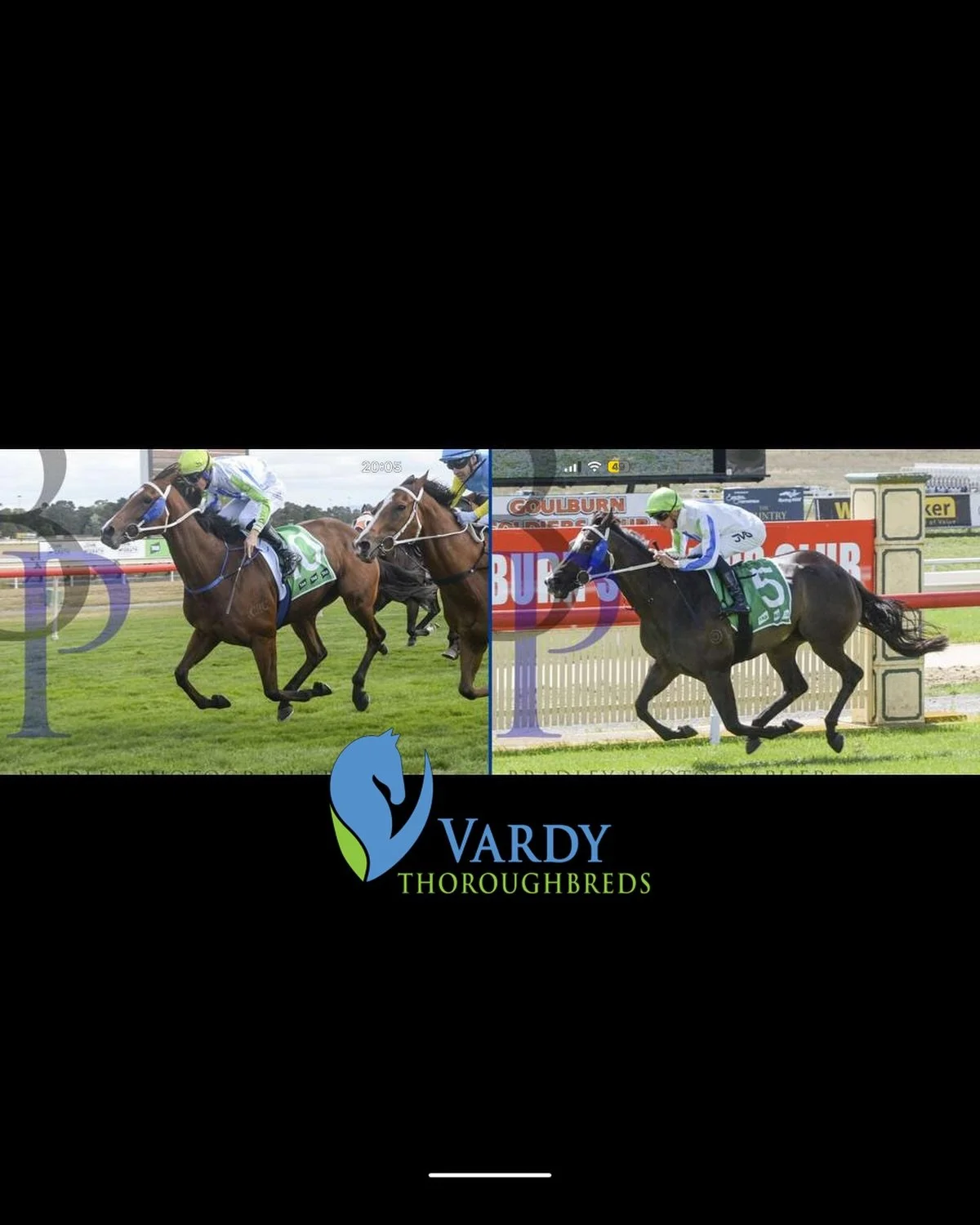 Two runners, two genuine chances today @thoroughbredpk Canberra 💪🏇

The #punters seem to think so, as Hell Of A Fox (race 7) and Brutal Belle (race 8) are short in the market and head to the races in great form.💪

Both girls are prepared by @peppe