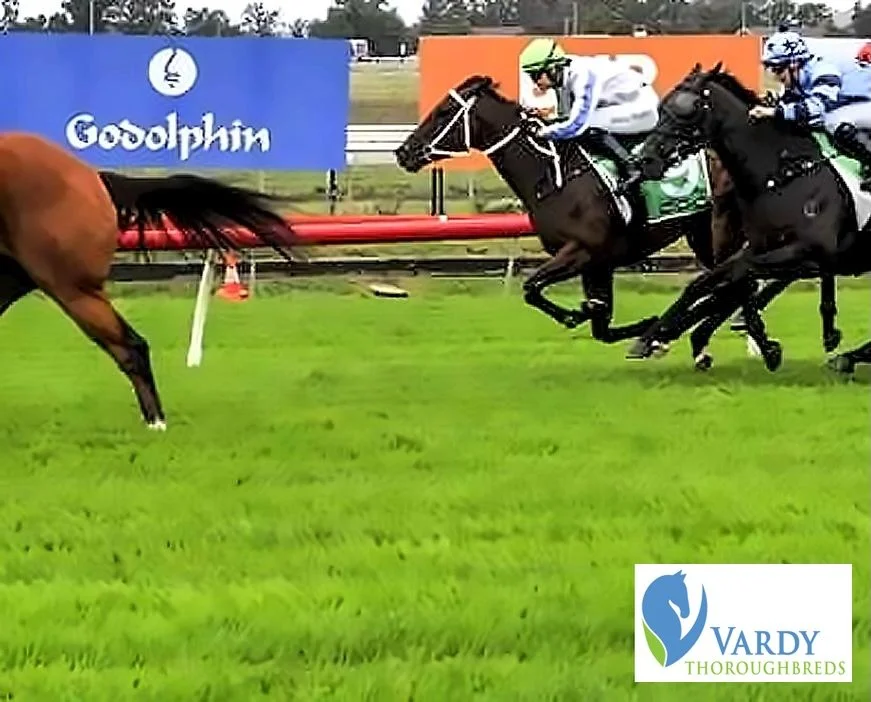 Racing today @theentertainmentgrounds Gosford in race 5 is Ready Made Heir. 

I don&rsquo;t think there&rsquo;s a much more honest filly in racing as she&rsquo;s had three top 3 finishes in her last 4 starts. 

@kristenbuchananracing has the filly hu