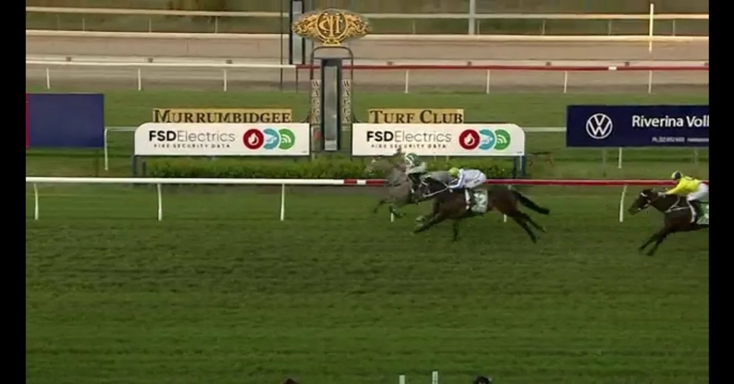 Just like her stablemate, Hell Of A Fox, Brutal Belle is as honest as the day is long! 

Forced to push forward from the outside draw, she showed her toughness and determination to finish a very credible 2nd 🥈 

As i always say, when they try their 